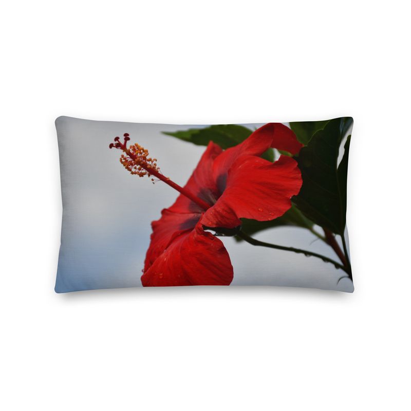 Coussin - 01258