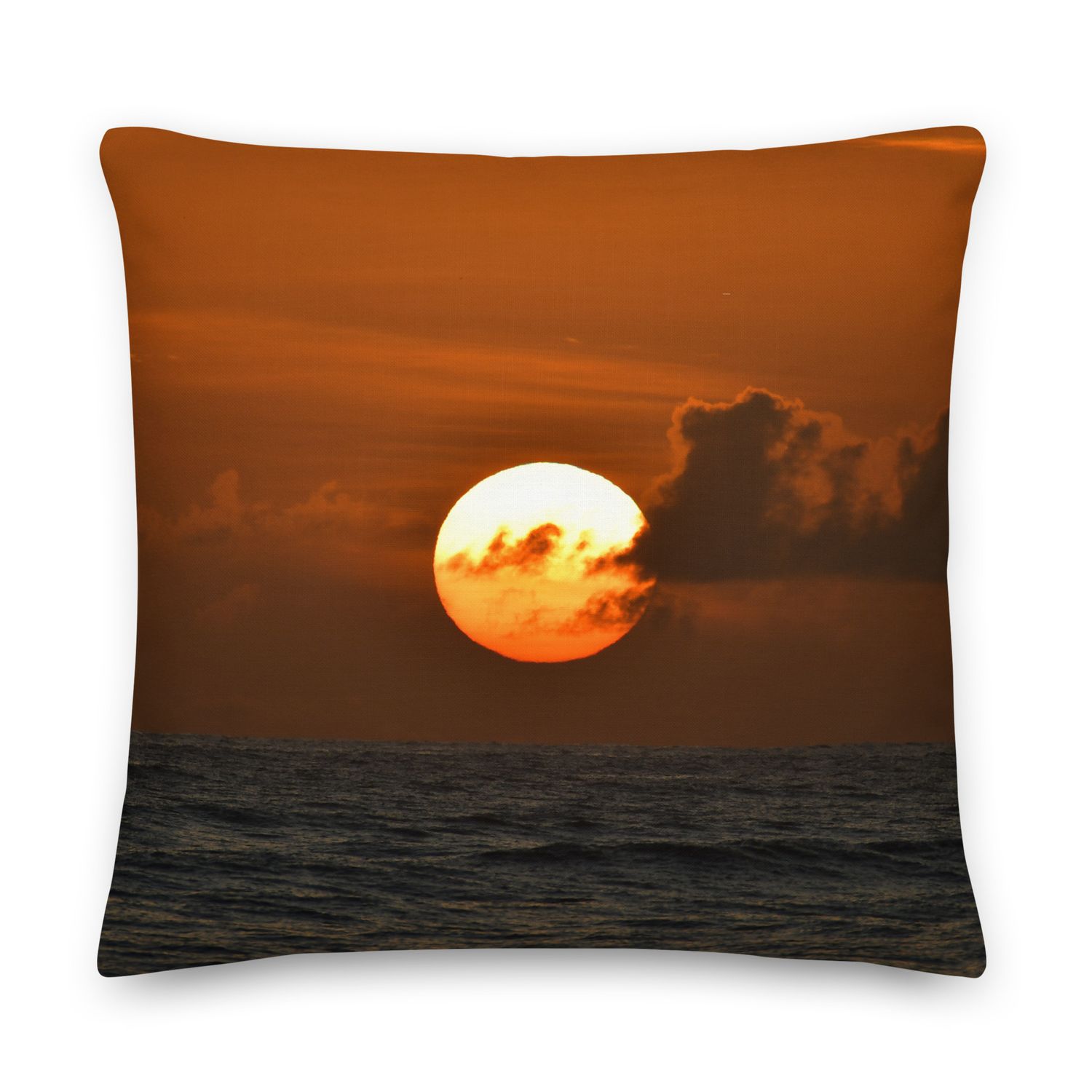 Coussin - 01259