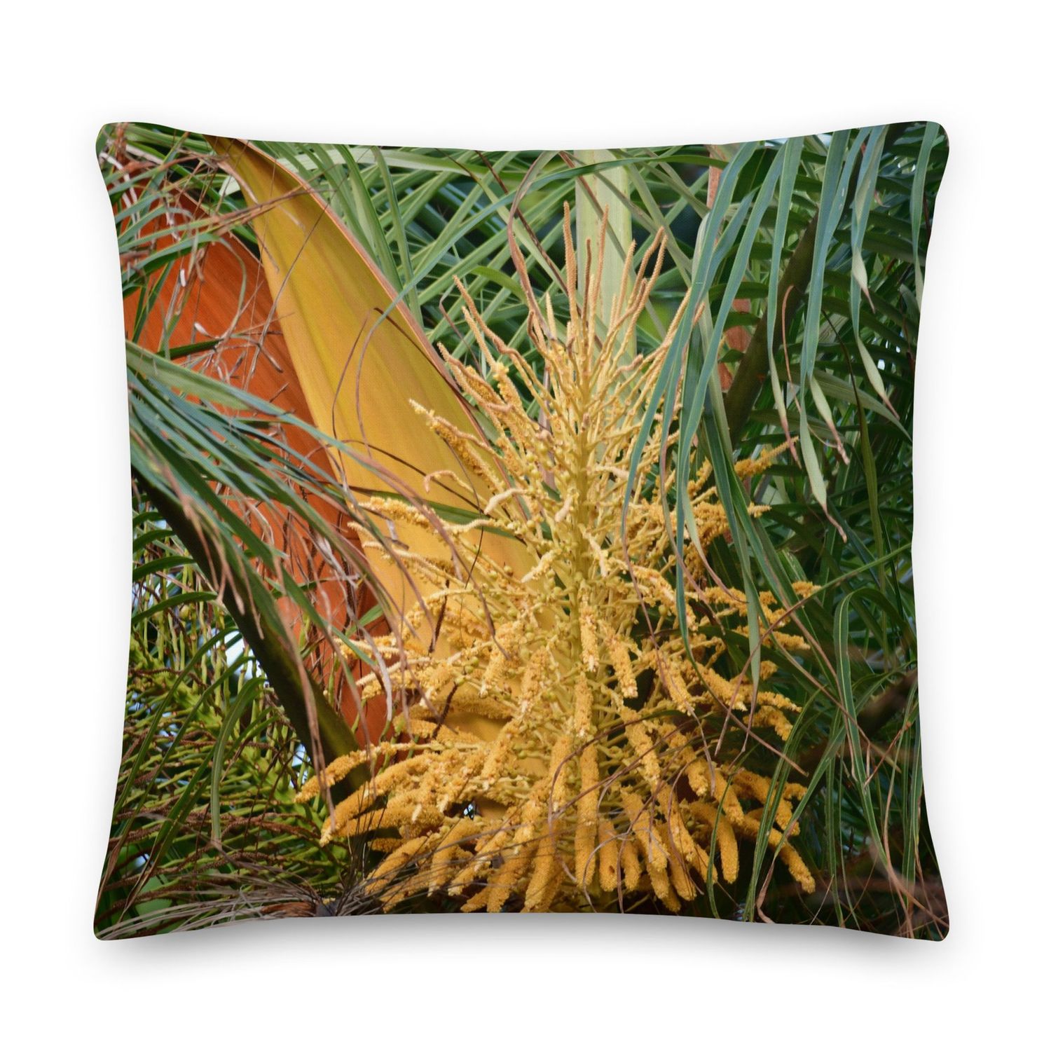 Coussin - 01252