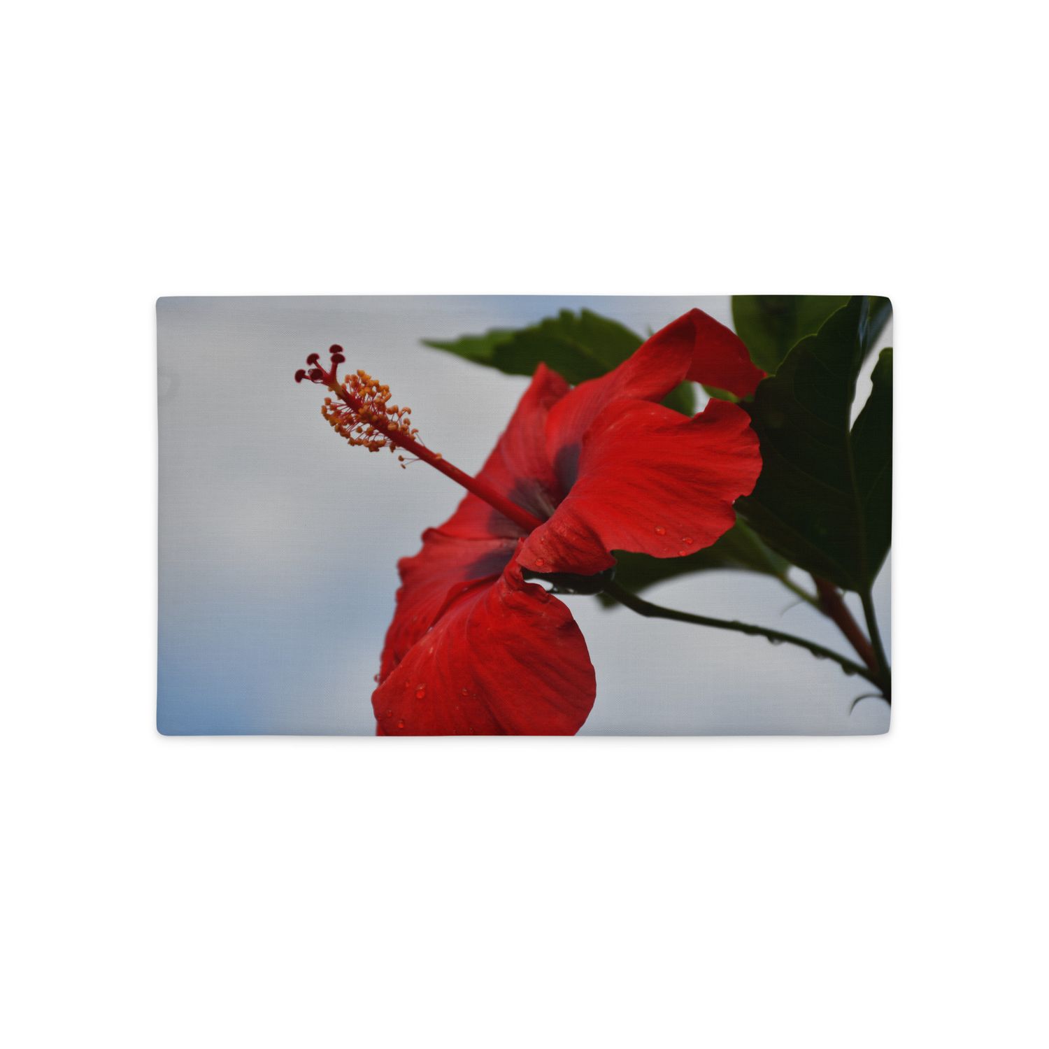 Housse de Coussin - 01262 Housse de Coussin - 01262