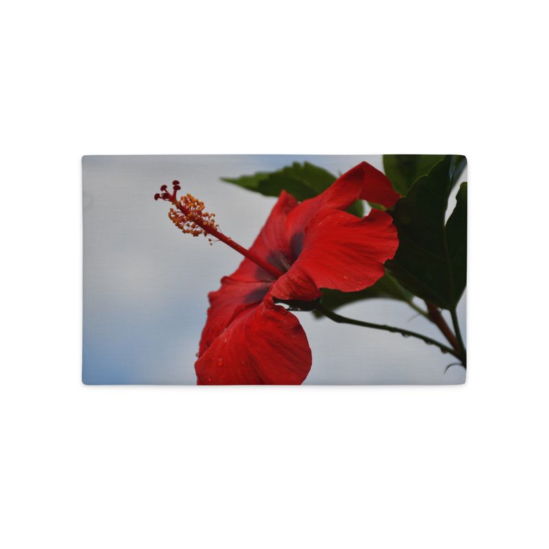 Housse de Coussin - 01262 Housse de Coussin - 01262