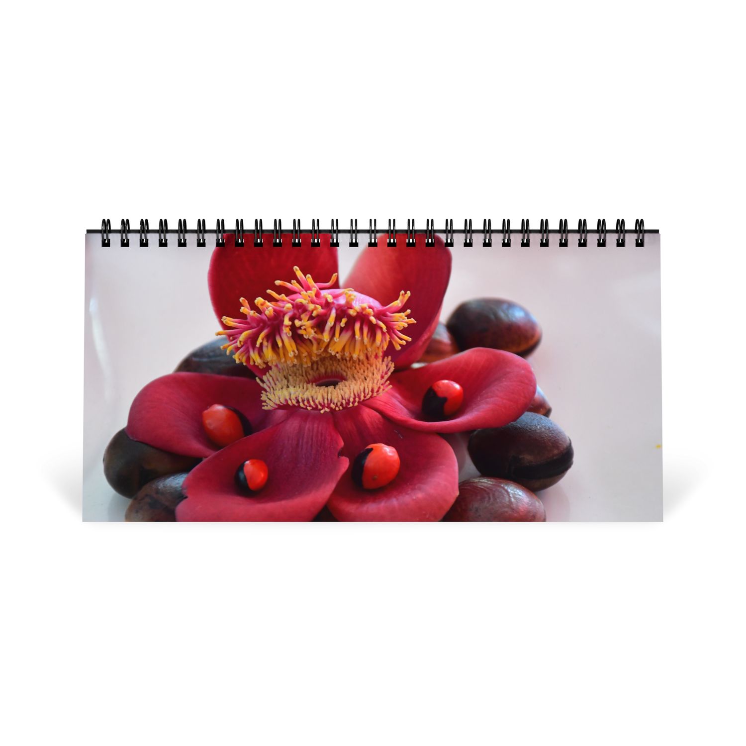 Calendrier de bureau 2026 - 01347