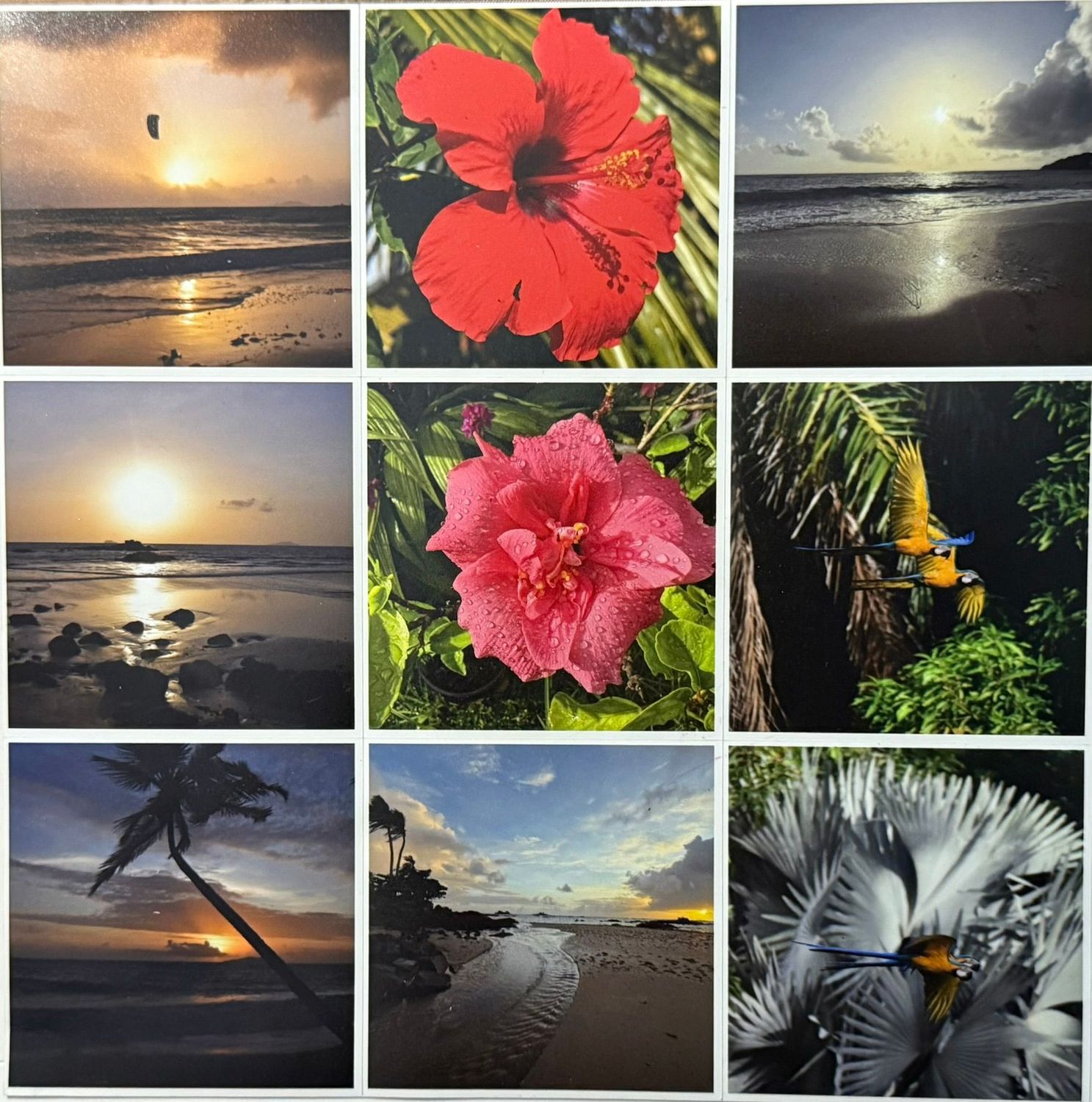 Magnets lot de 9 Magnets lot de 9