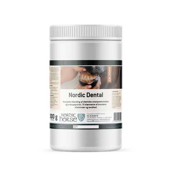 Nordic Dental - 300 g