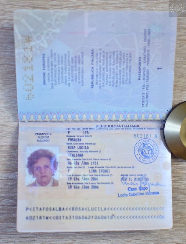 Italy 2001-2006 passport