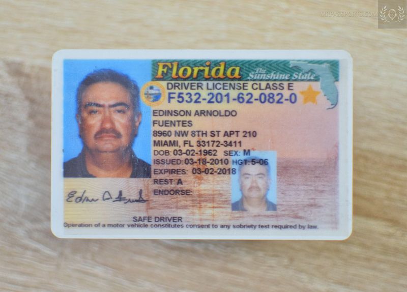 USA Driver License Florida 2010