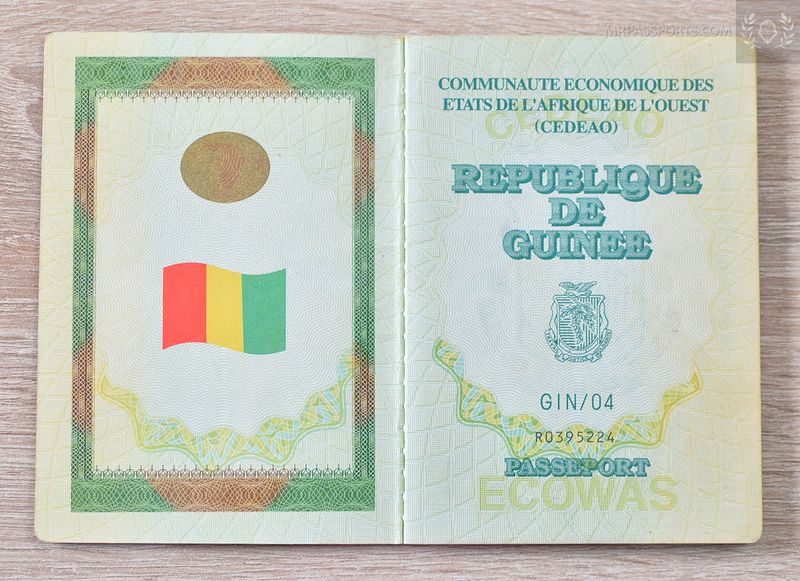 Guinea 2011-2016,  African visas