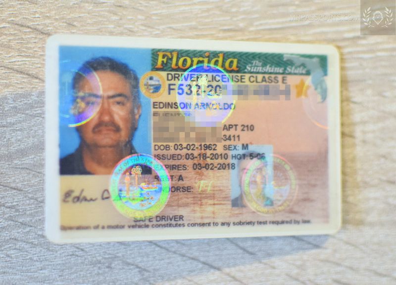 USA Driver License Florida 2010