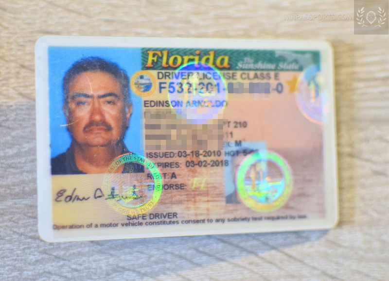 USA Driver License Florida 2010