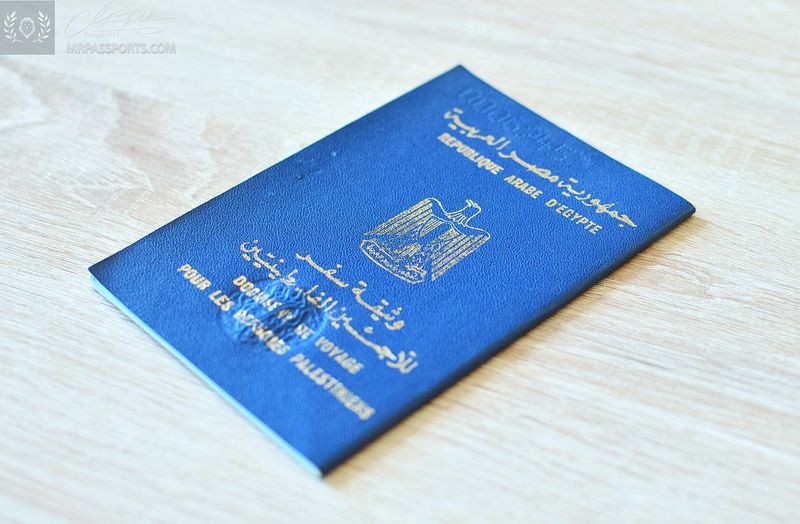 Egypt trv.-doc. for Palestinian refugees 2008-2013