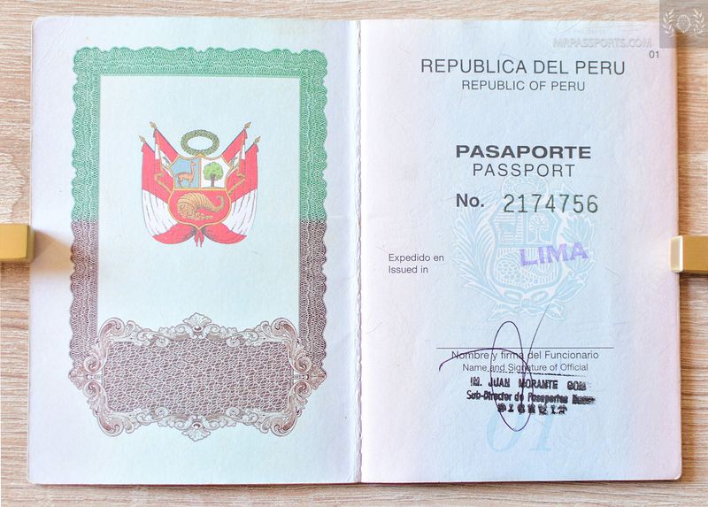 Peru 2001-2006 Passport, excellent condition