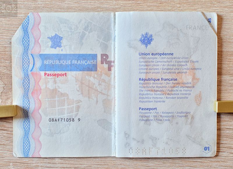 SALE:  France 2008-2013 biometric