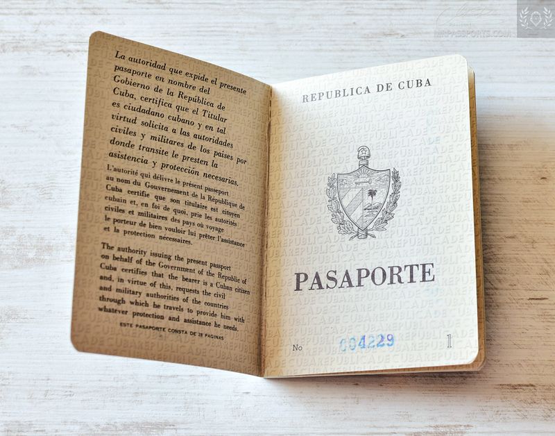 Caribben 1987, given at the Czechoslovak Embassy in Washington D.C.