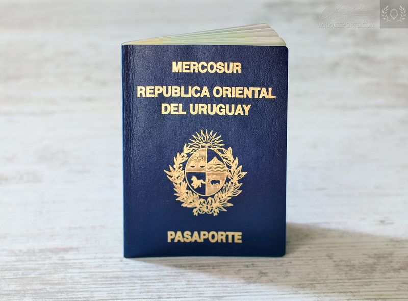 Uruguay 2009-2014 pre-biometric passport, Mercosur