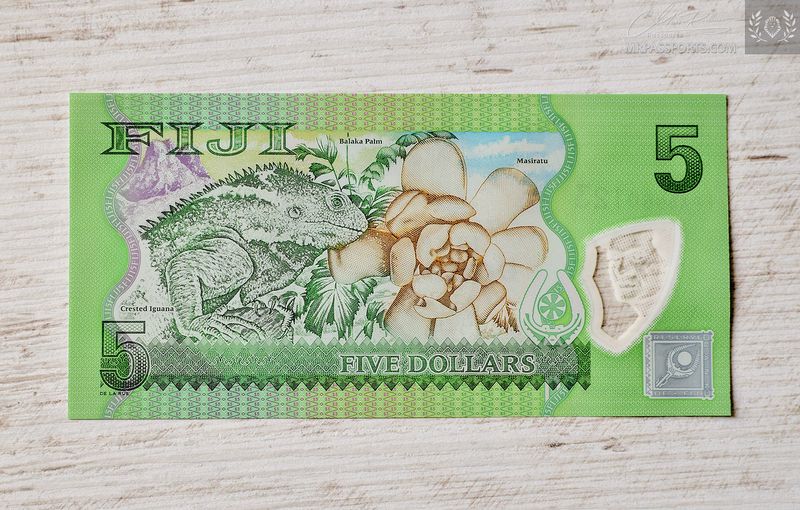 Fiji, 5 Dollars polymer
