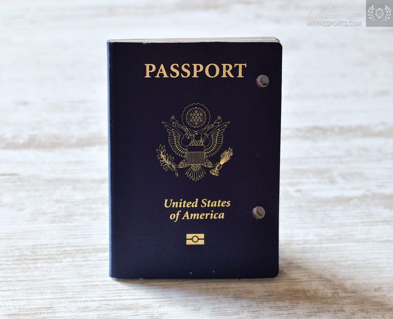 USA , 2008-2013 biometric passport / e-passport