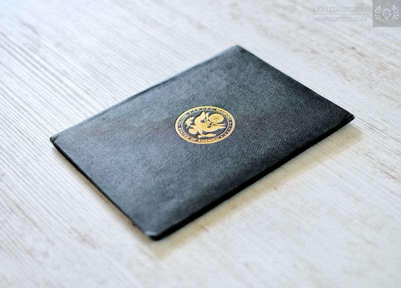 USA, 1918 passport, excellent condition, WW1