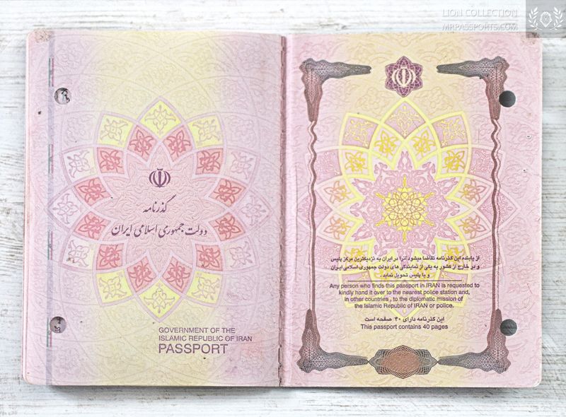 Middle East, 2011-2016 biometric passport / e-passport