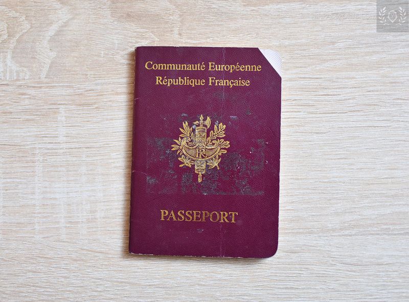 France 1989-1994 passport, interesting