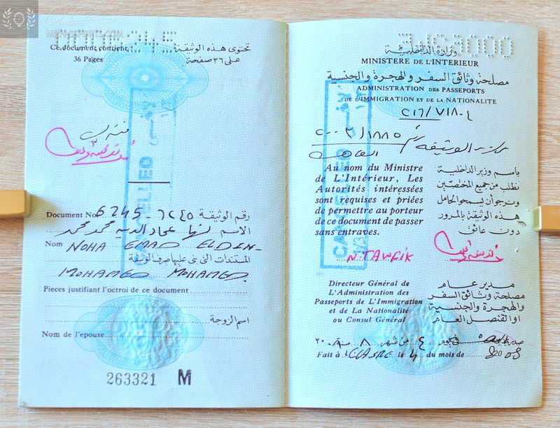 Egypt 2008-2013 travel document for Palestinian refugees 2008-2013