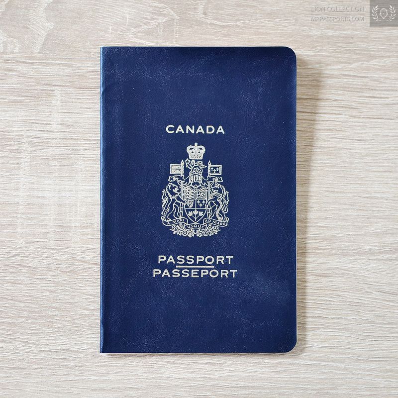 Canada 1982-1987 passport, given at Athens, Travel to South Africa