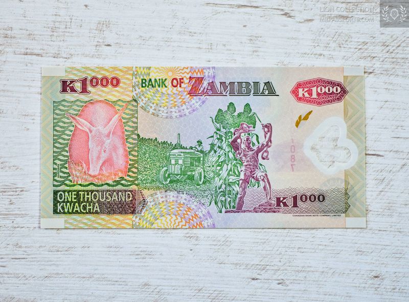 Zambia, 2005