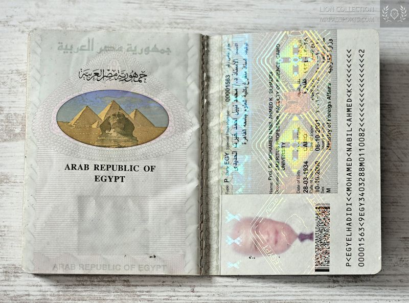 Egypt, 2000-2001 Special Passport from a professor of science, lots of visas, extremely rare