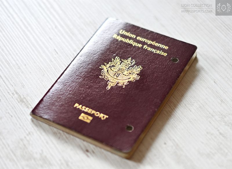 France, 2009-2014 biometric passport / e-passport
