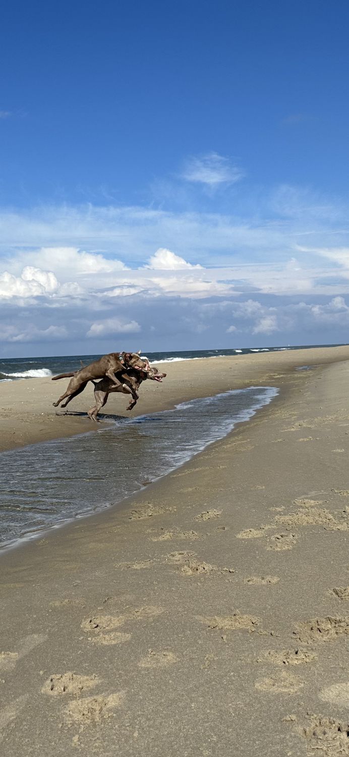 Texel 31.10.2025 bis 07.11.2025