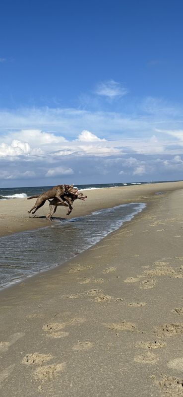 Texel 31.10.2025 bis 07.11.2025