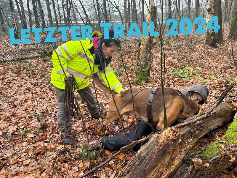 Silvester Trail - letzter Trail im Jahr 2024