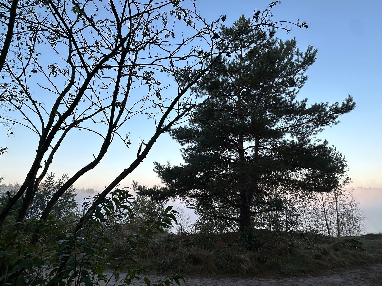 Trailen Grenze DE/NL