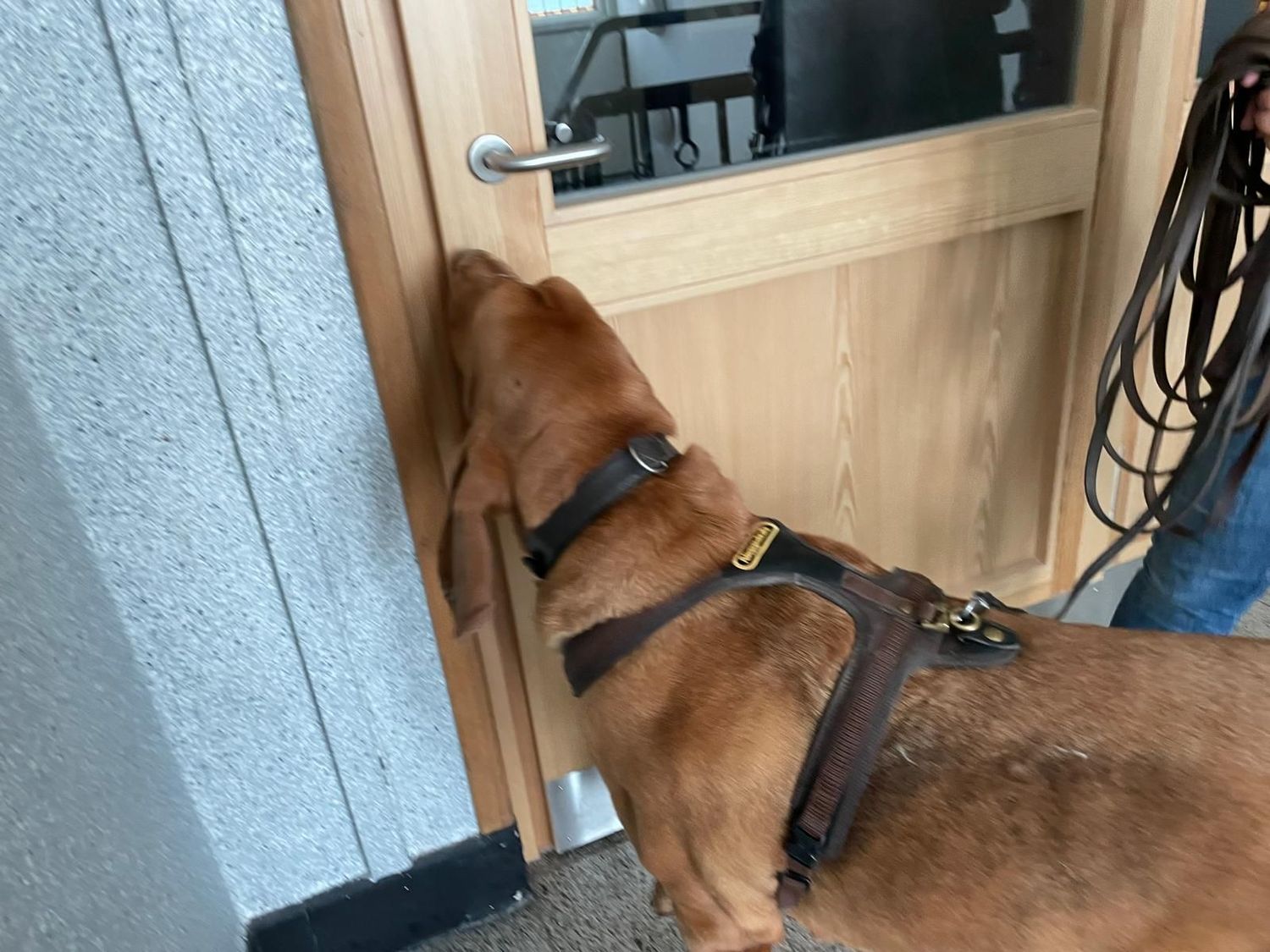 Niederrhein Event Indoor & Outdoor 07./ 08.03.26 Niederrhein Event Indoor & Outdoor 07./ 08.03.26