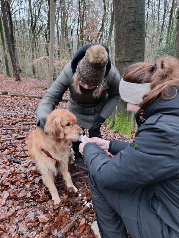 Letzter Trail in diesem Jahr ✨31.12.2025