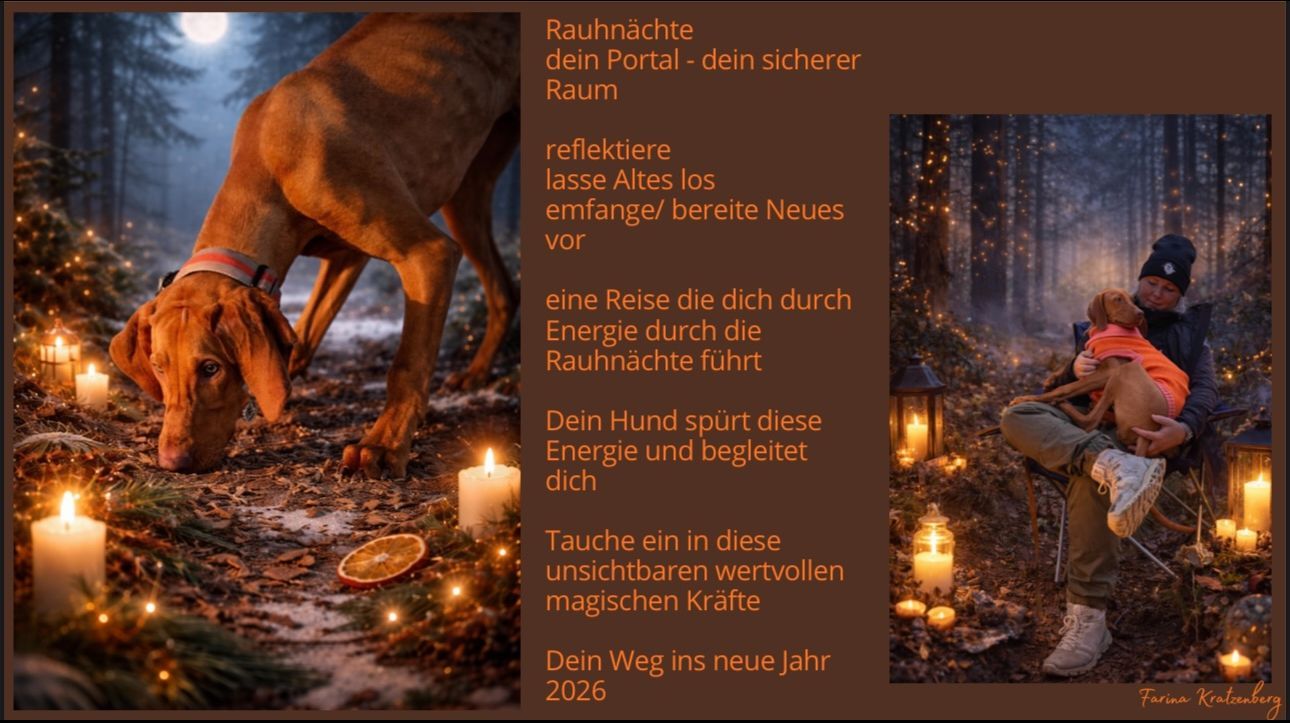 Guide for happy Life - Rauhnächte mit Hund