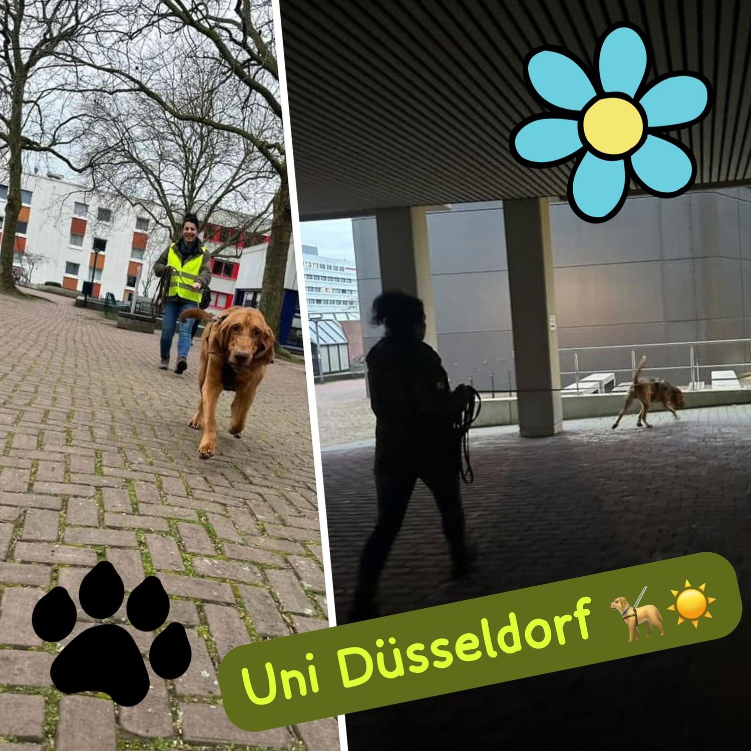 Unigelände Düsseldorf 30.05.26