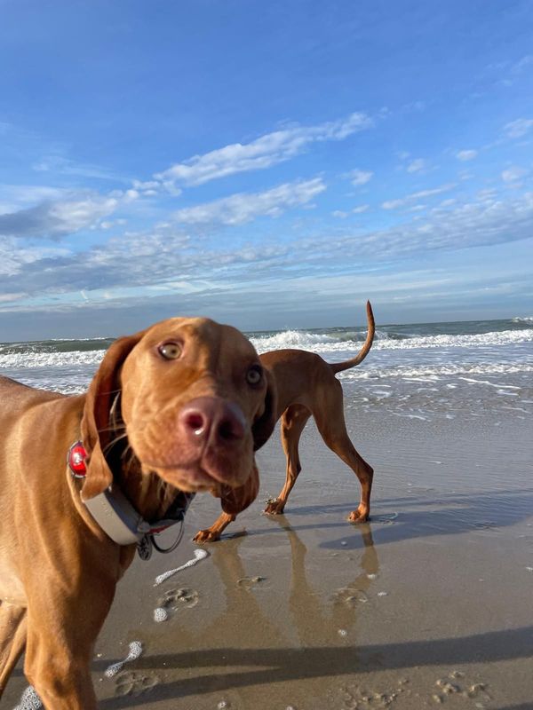 Texel 17.04.2026 bis 24.04.2026