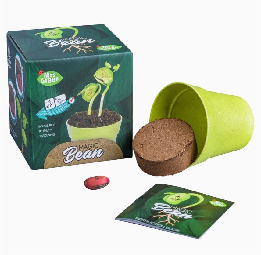 Magic Bean Plant Kit