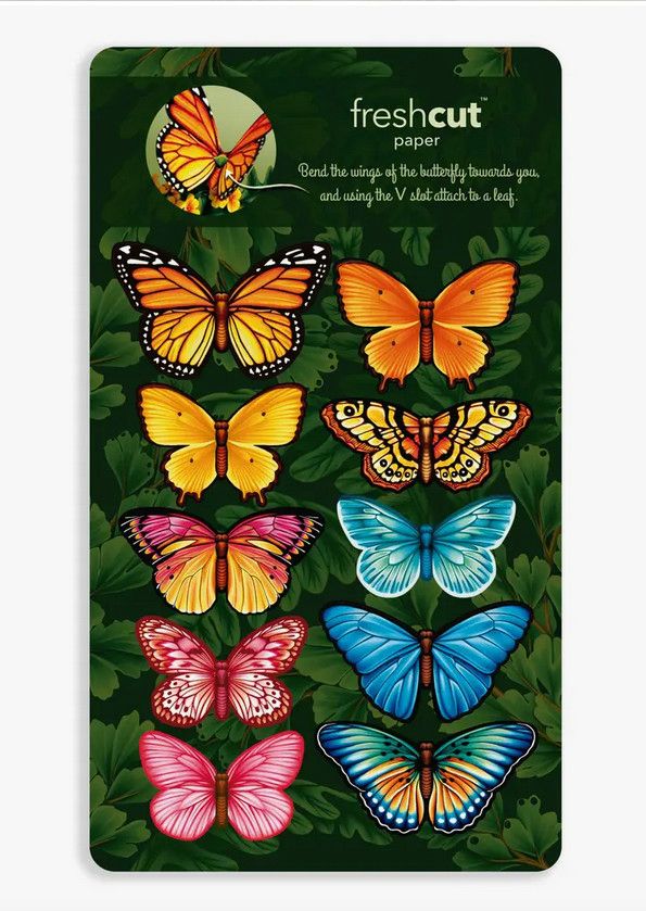 Butterflies &amp; Buttercups Pop-Up Greeting Cards