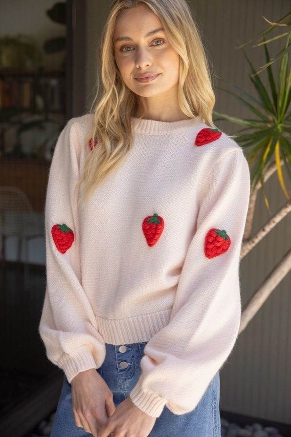 Strawberry Embroidered Princess Long Sleeve Sweater