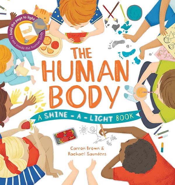 Shine-A-Light : The Human Body