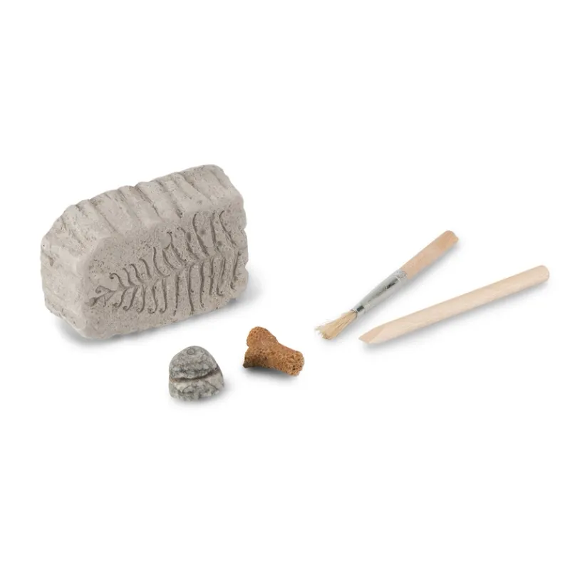 Fossil Dig Paleo kit in beaker