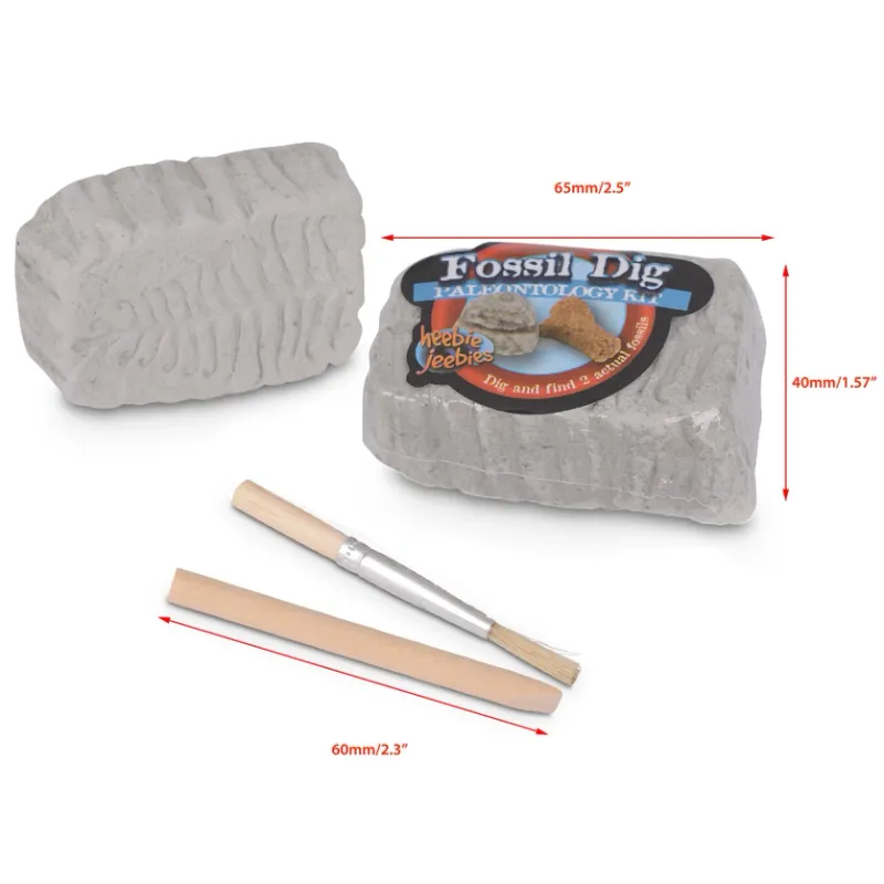 Fossil Dig Paleo kit in beaker