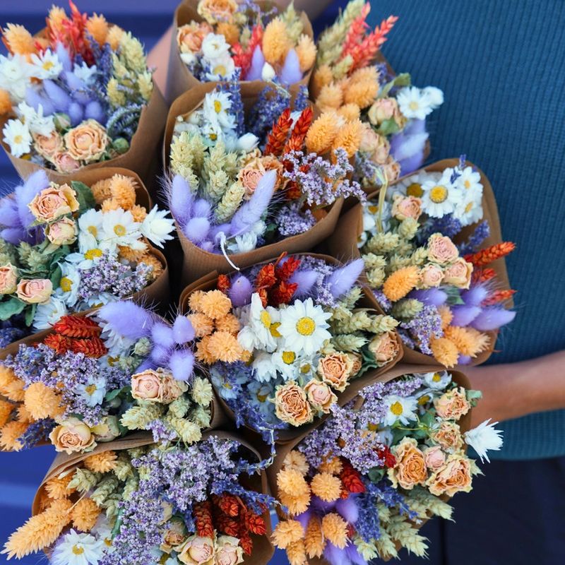 Dried Flowers - More Market - Lavender Peach