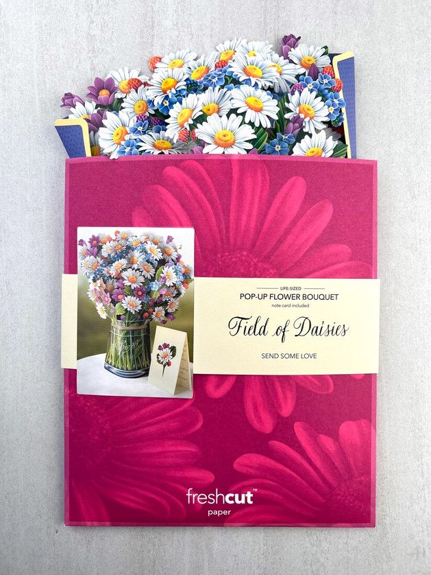 Field of Daisies  Pop-Up Greeting Cards