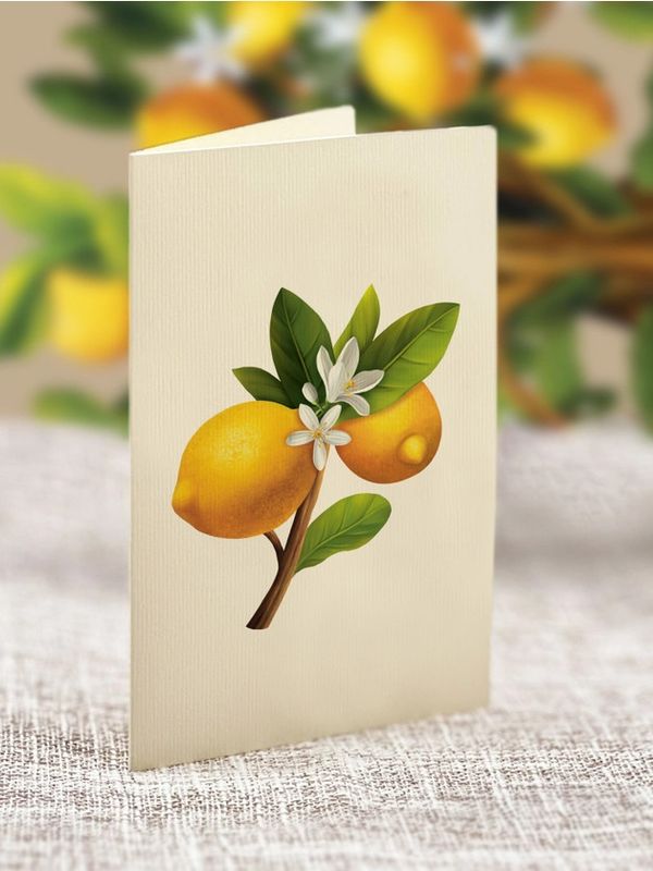 Lemon Blossom Tree Pop-Up Greeting Cards