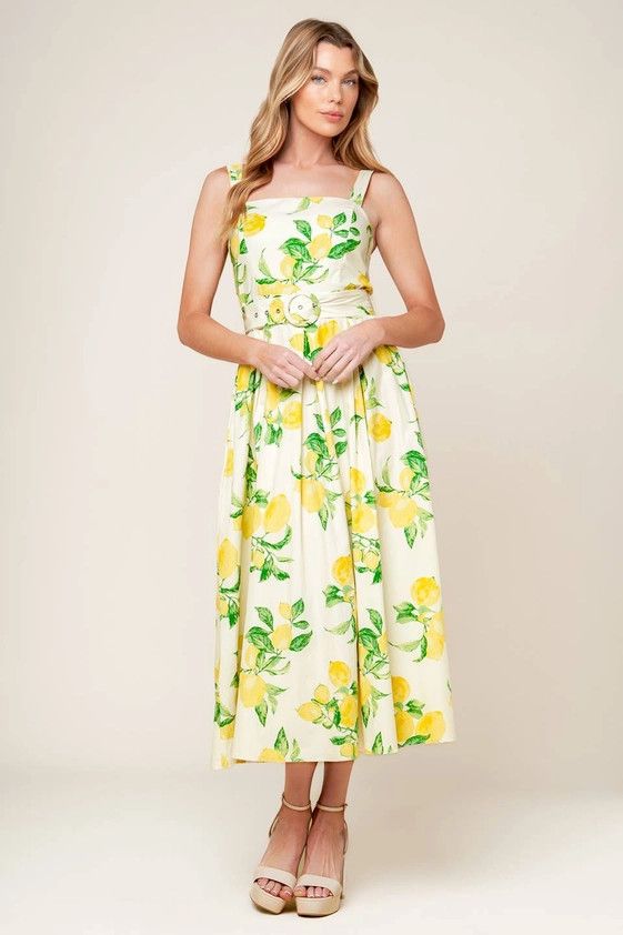Contemporary Printed Woven Midi Dress