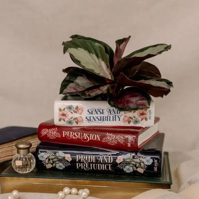 Stacked Books Planter, Jane Austen