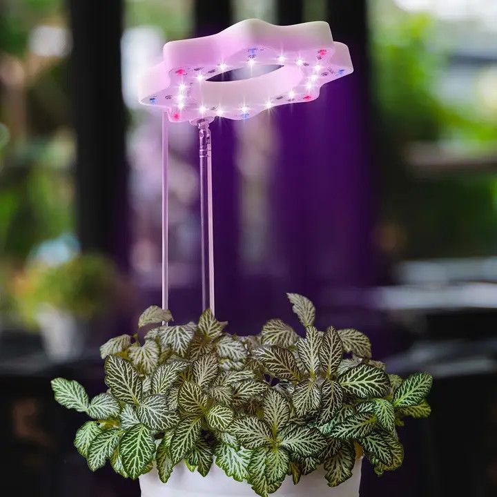 Bloomie Indoor Grow Light
