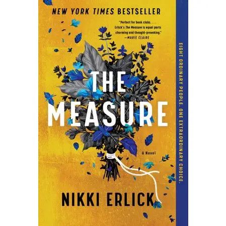 The Measure : Nikki Erlick